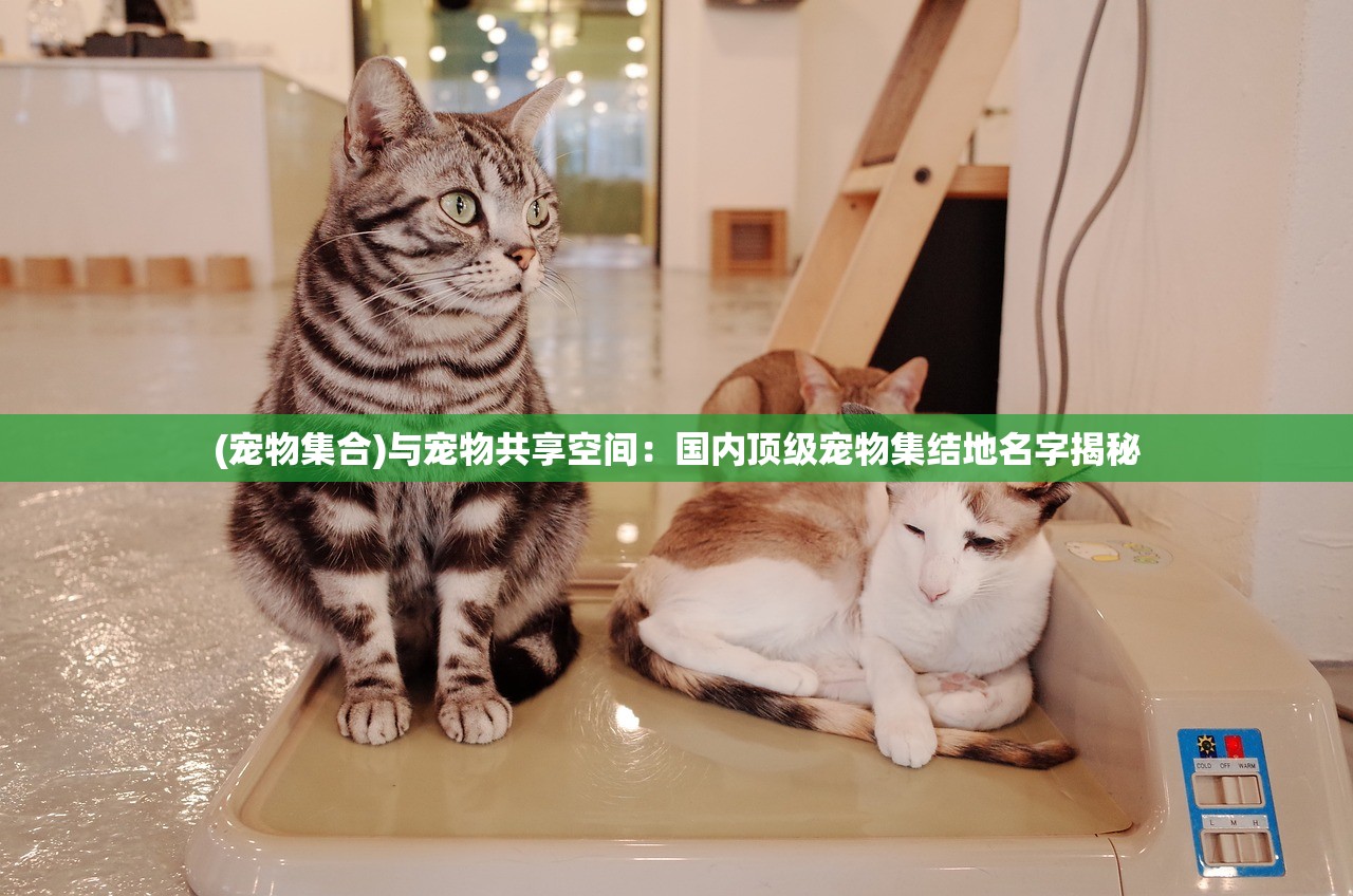 盛世重开：《冒险之心无限钻石版》引领行业新潮流,完美展现创新与实力的内在统一