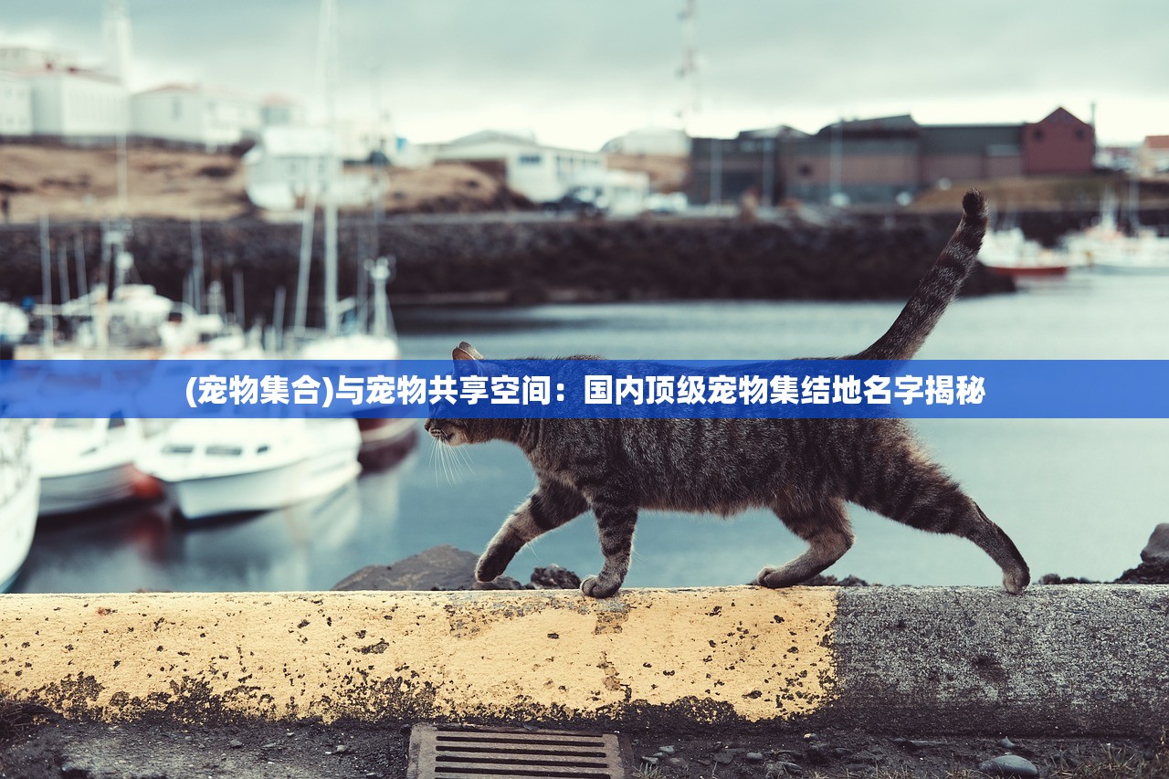 探讨著名游戏战歌竞技场更名为荣耀竞技场：其背后的原因及对游戏行业的影响