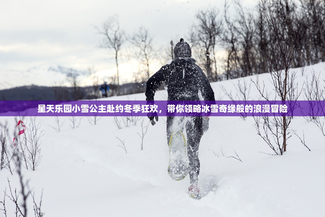 (时间的秩序和时间简史)探究生活本质：《时间的秩序》PDF电子书的深度解析与应用研究