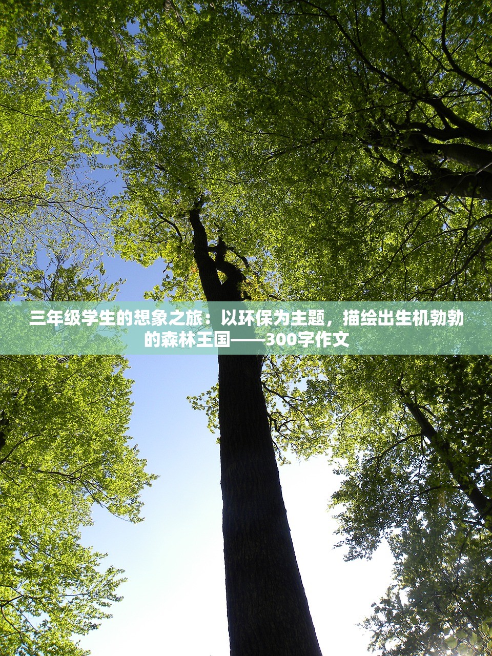 (止戈为武的由来)深度解读'止戈为武'意蕴：从古代兵器到和平理念的演变过程