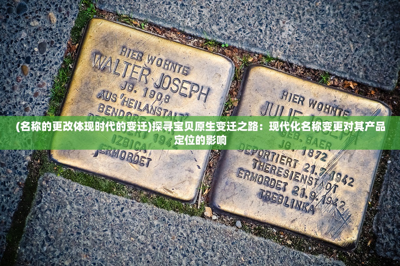 (名称的更改体现时代的变迁)探寻宝贝原生变迁之路：现代化名称变更对其产品定位的影响
