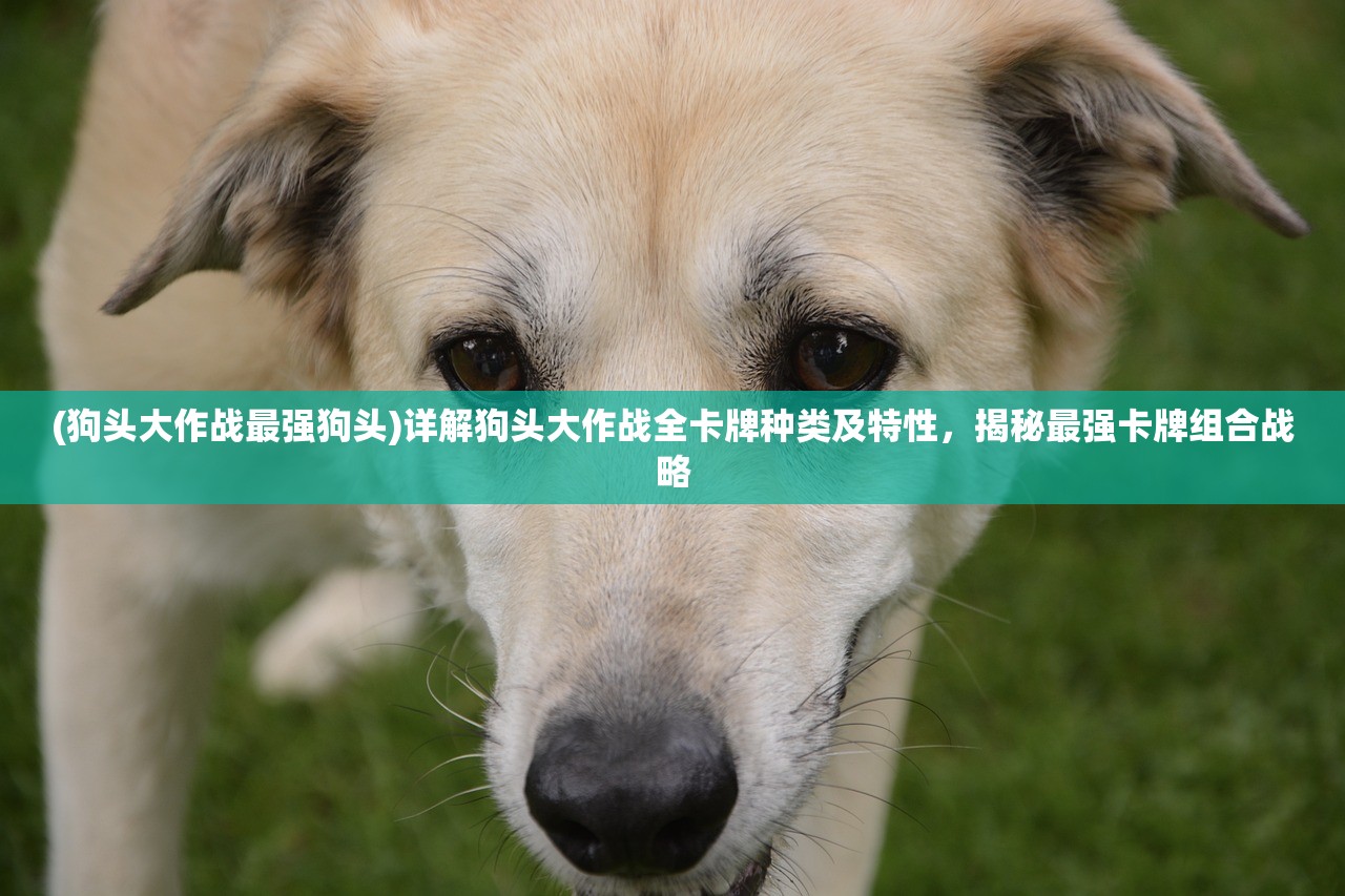 探究台服版魔晶幻想：台湾玩家常用的命名规则与地域特色魔晶称谓