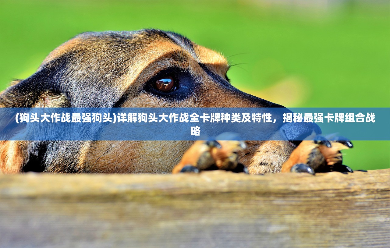 深度剖析：一点三国最强阵容，如何在战斗游戏中逆袭赢得最后胜利