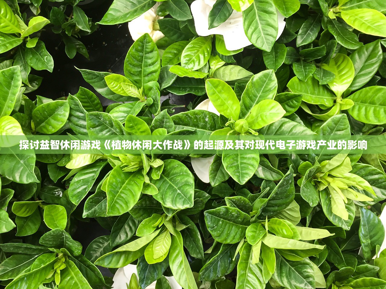 时之扉重启剧情选择：揭秘角色关系与心机操作决定剧情走向改变的全过程