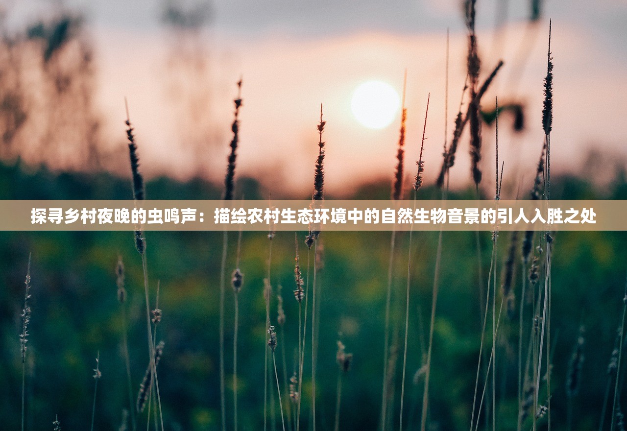 玩家指南：详细解析如何在网络游戏中打出地下城代号以加深团队配合