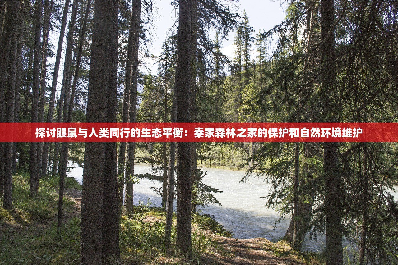 探究勇士与梦想大陆最新版本更新内容：开放新地图，角色优化以及全新任务系统的深度解析