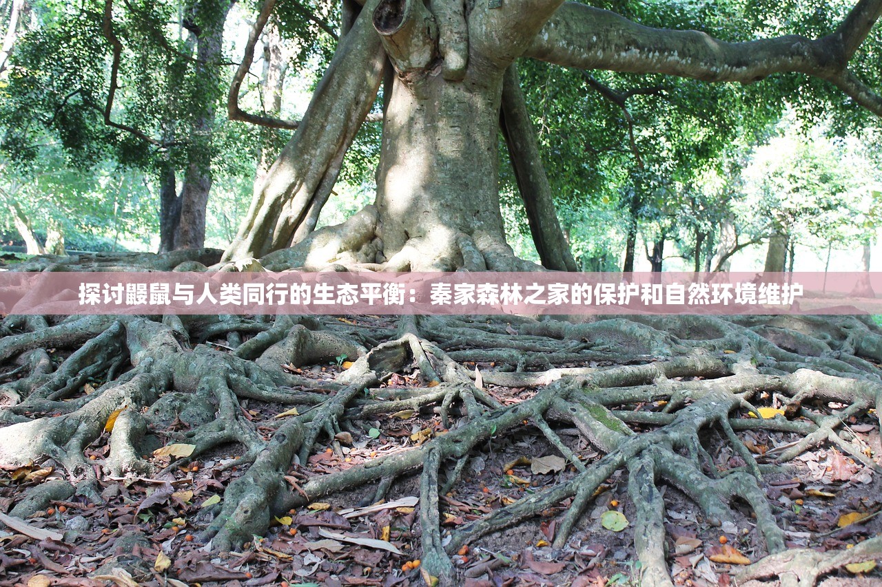 (群战三国官网)一朝改名换新颜，探索《群战三国》改名后的新游戏体验和原因