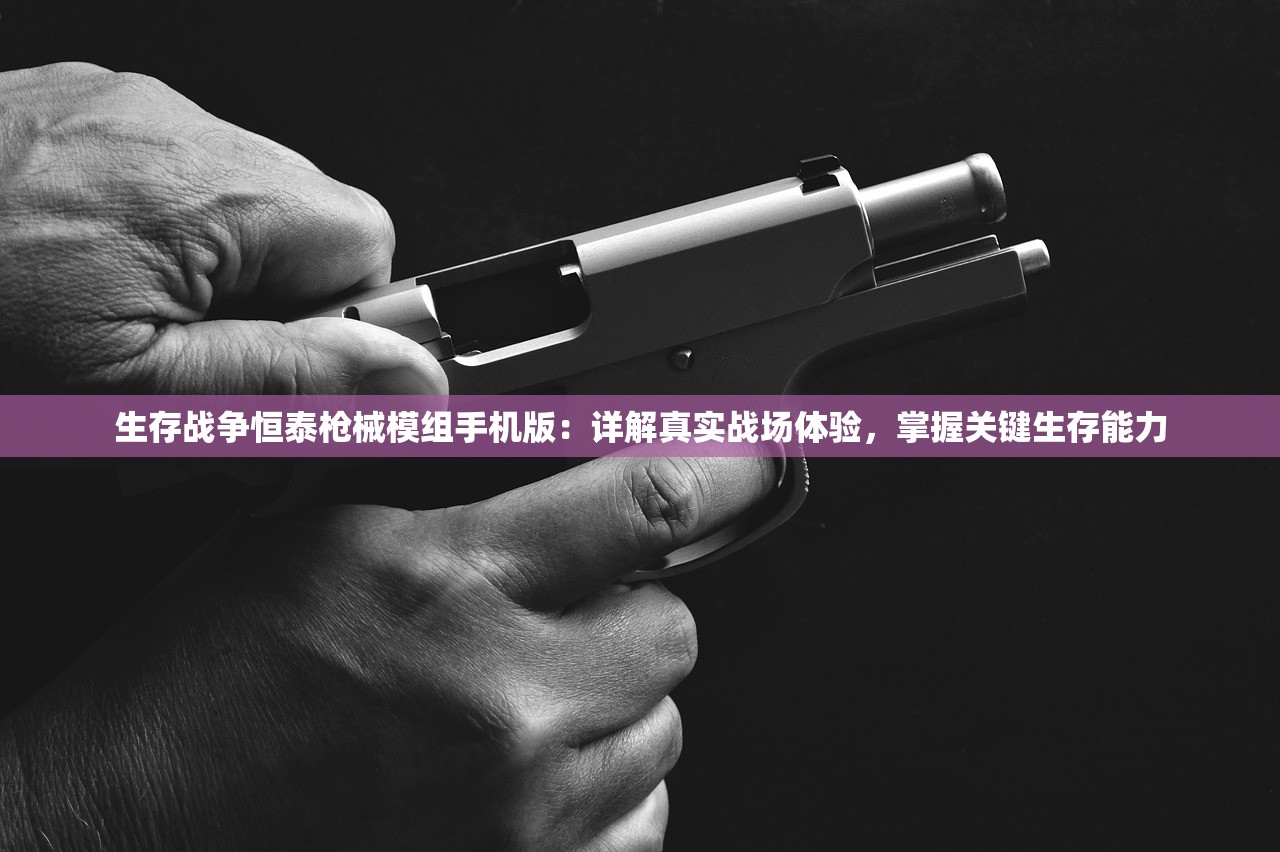 (异度之刃 圣域王冠)探秘异度王冠S级最强英雄：揭秘他的实力与背后故事