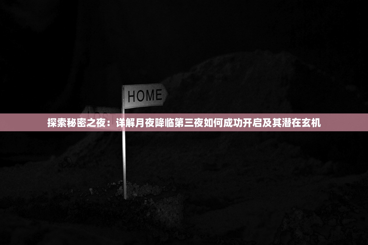 探索秘密之夜：详解月夜降临第三夜如何成功开启及其潜在玄机