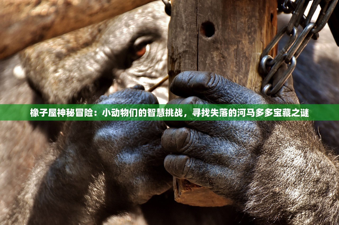 橡子屋神秘冒险：小动物们的智慧挑战，寻找失落的河马多多宝藏之谜