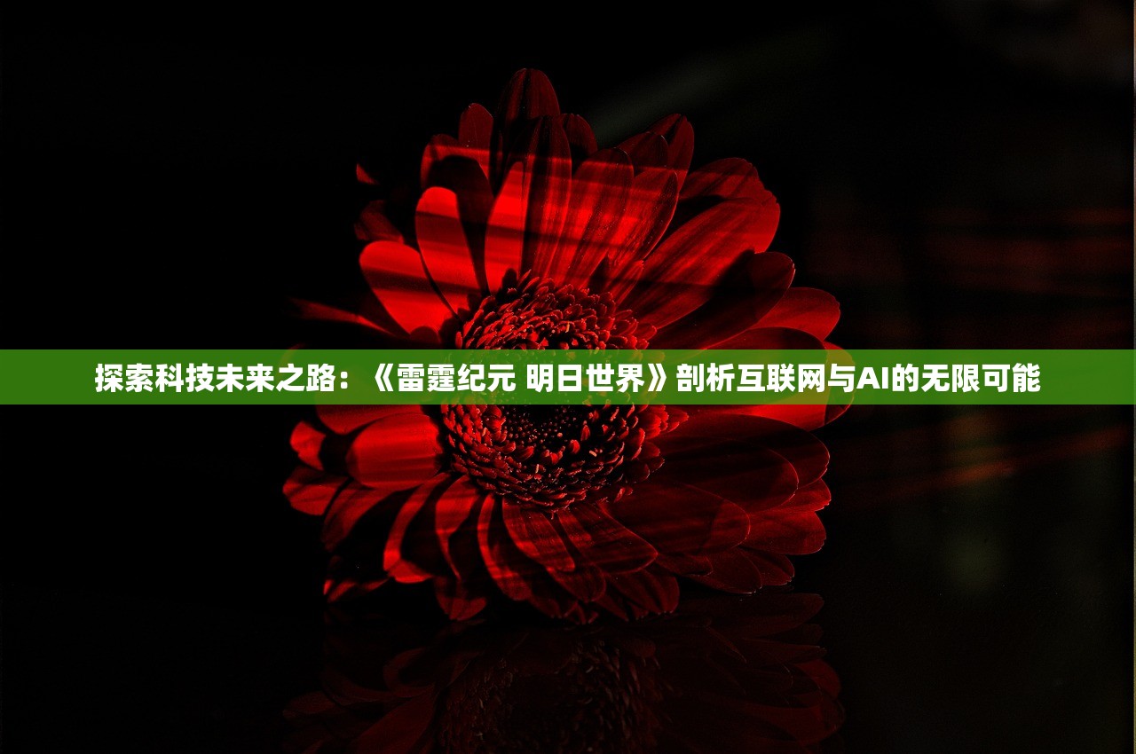 (星月命运之轮高手攻略)星月命运之轮符号，神秘力量的象征与深层解读