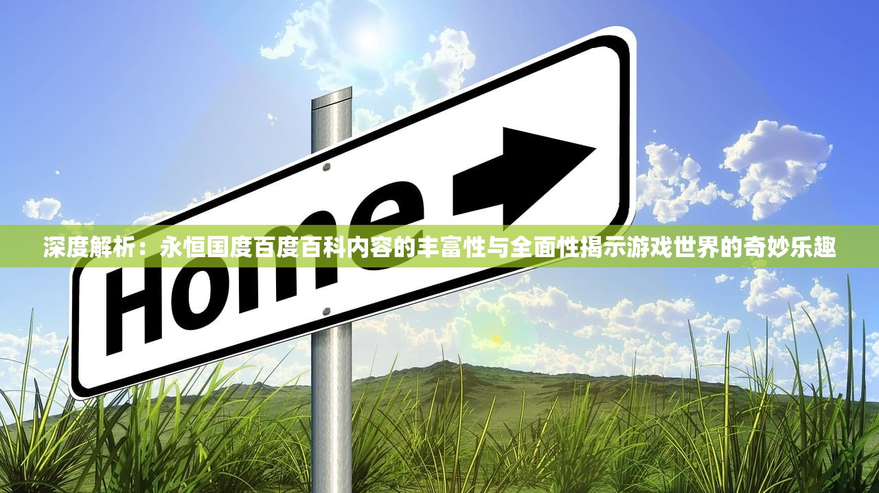 深度解析：永恒国度百度百科内容的丰富性与全面性揭示游戏世界的奇妙乐趣