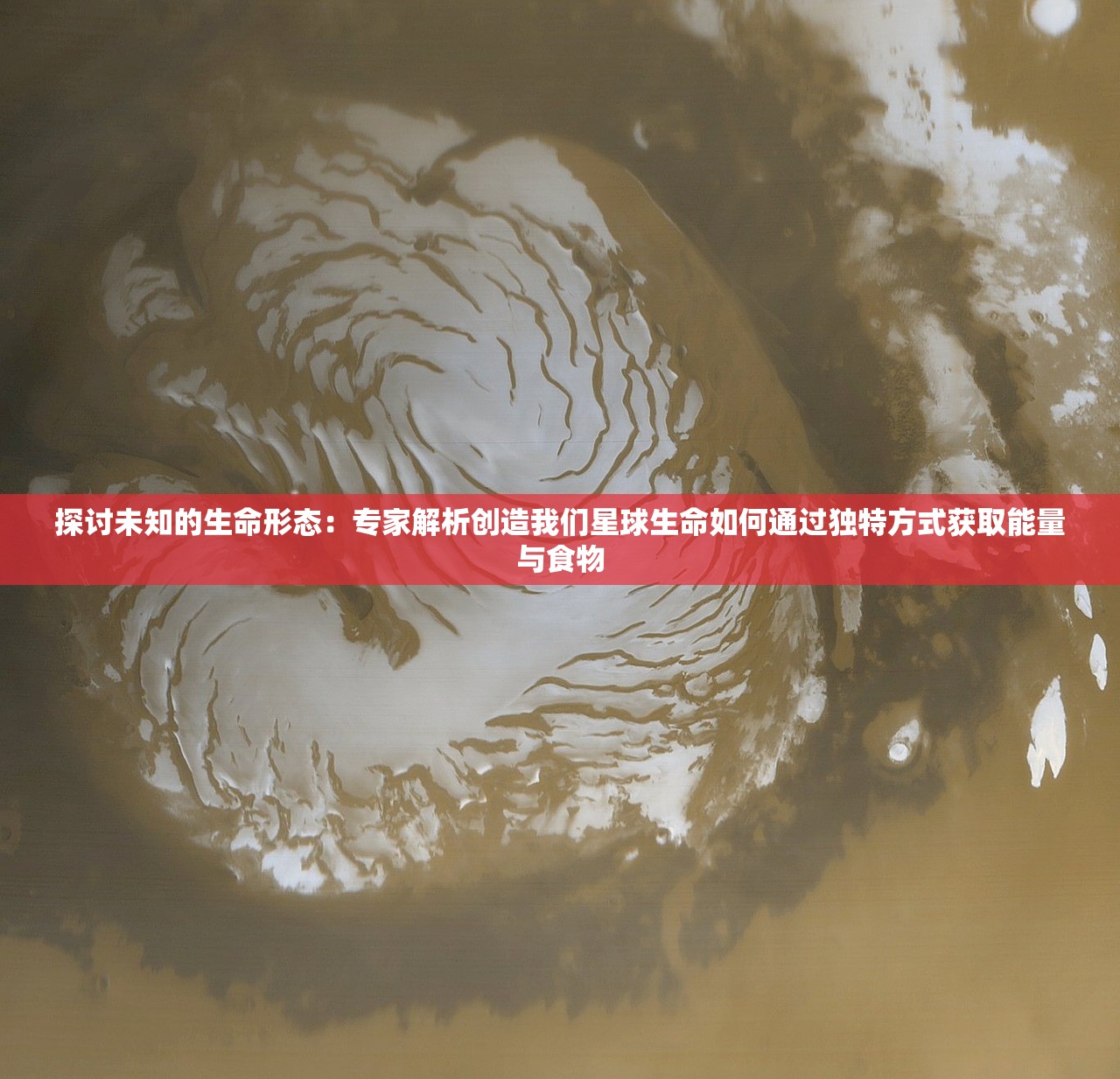 探讨未知的生命形态：专家解析创造我们星球生命如何通过独特方式获取能量与食物