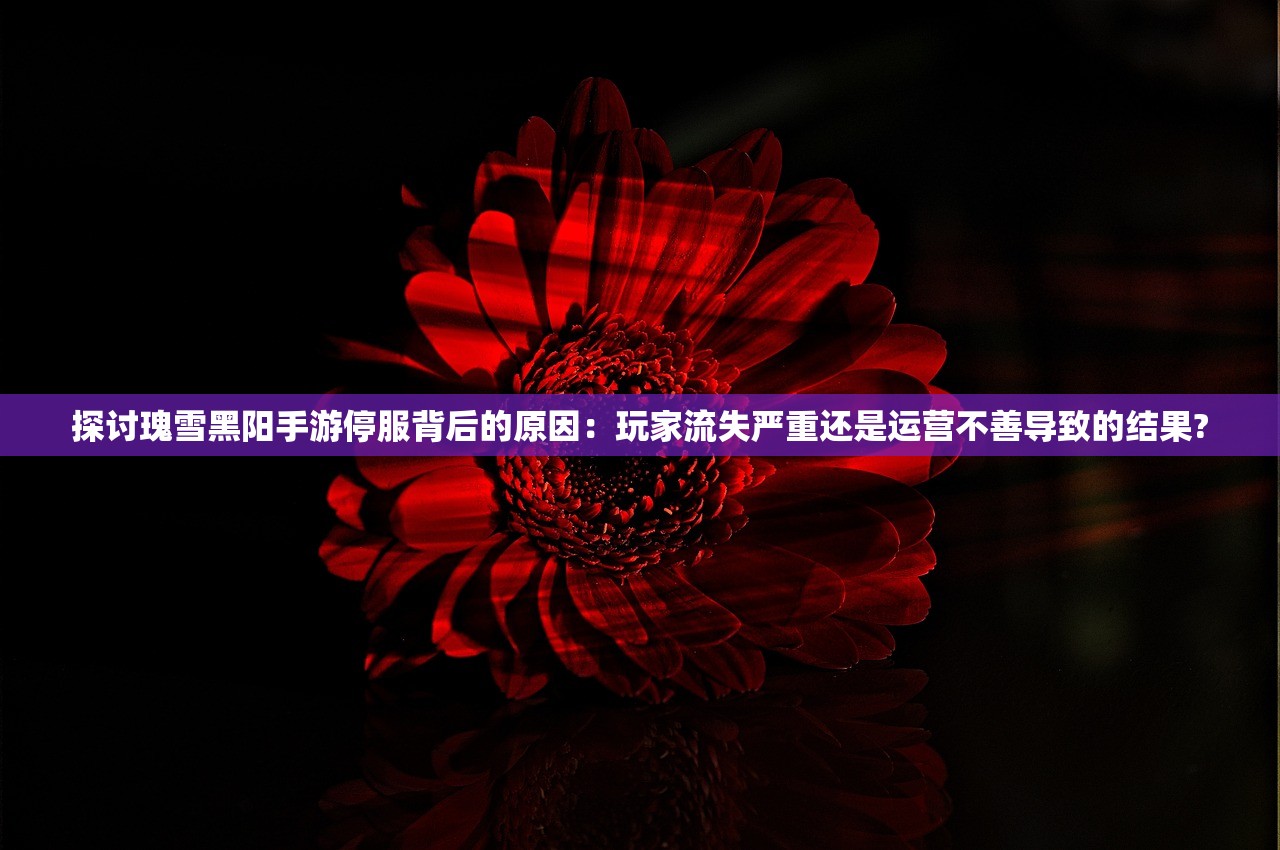 探讨瑰雪黑阳手游停服背后的原因：玩家流失严重还是运营不善导致的结果?