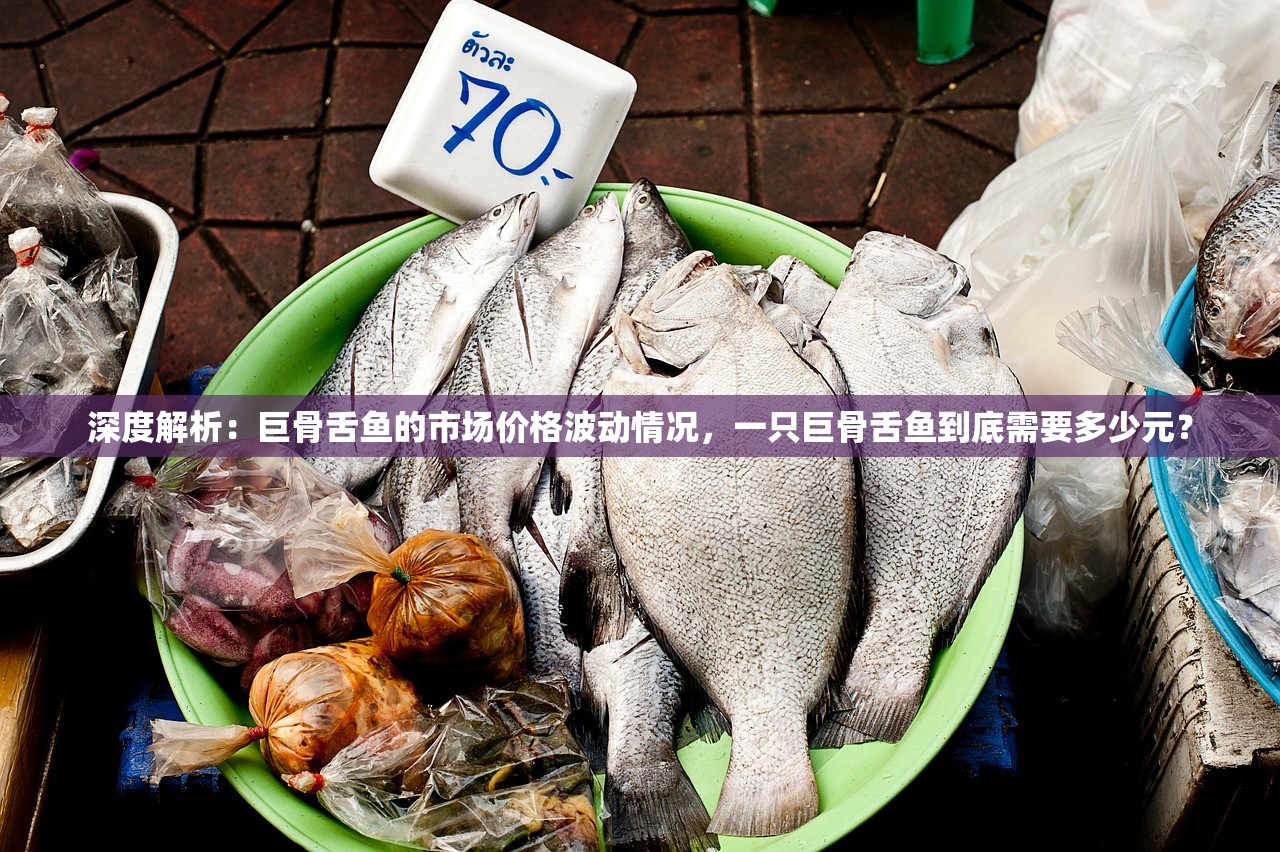 深度解析：巨骨舌鱼的市场价格波动情况，一只巨骨舌鱼到底需要多少元？