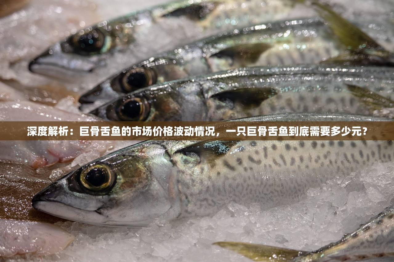 深度解析：巨骨舌鱼的市场价格波动情况，一只巨骨舌鱼到底需要多少元？