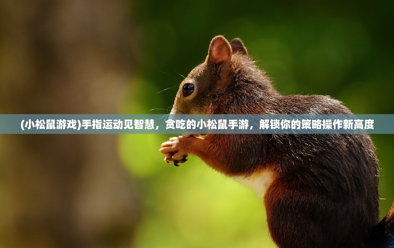 (小松鼠游戏)手指运动见智慧，贪吃的小松鼠手游，解锁你的策略操作新高度
