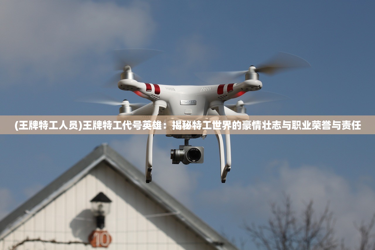(王牌特工人员)王牌特工代号英雄：揭秘特工世界的豪情壮志与职业荣誉与责任