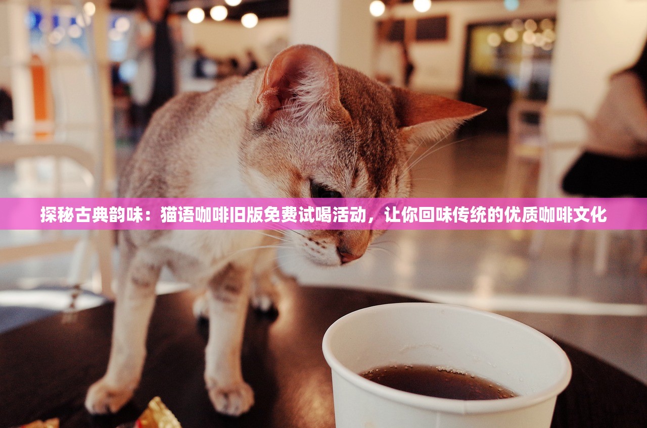 探秘古典韵味：猫语咖啡旧版免费试喝活动，让你回味传统的优质咖啡文化