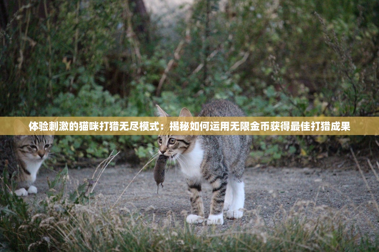 体验刺激的猫咪打猎无尽模式：揭秘如何运用无限金币获得最佳打猎成果