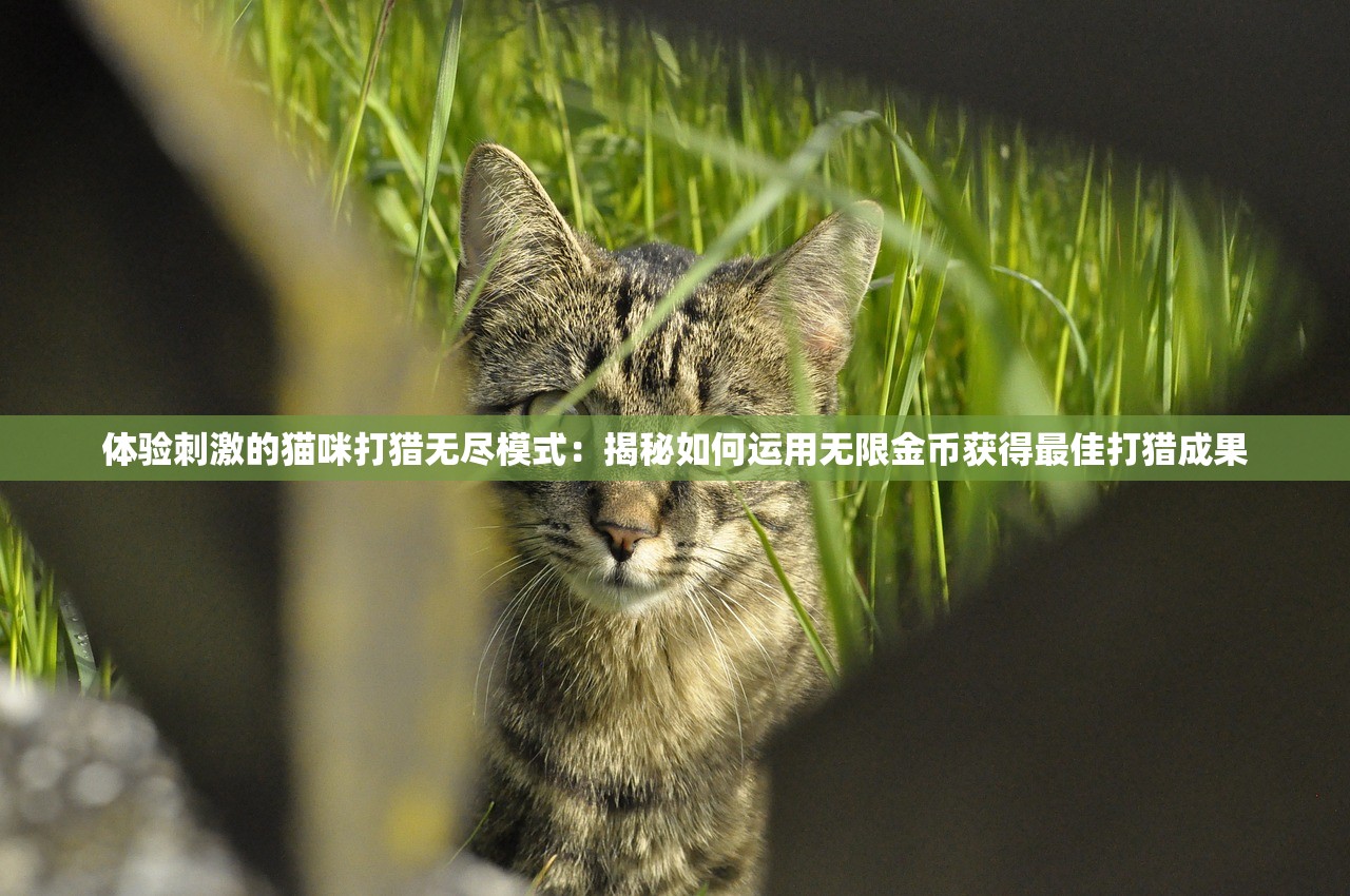 (三国谋取天下)三国谋定天下之焚粮弓，策略与智慧的较量