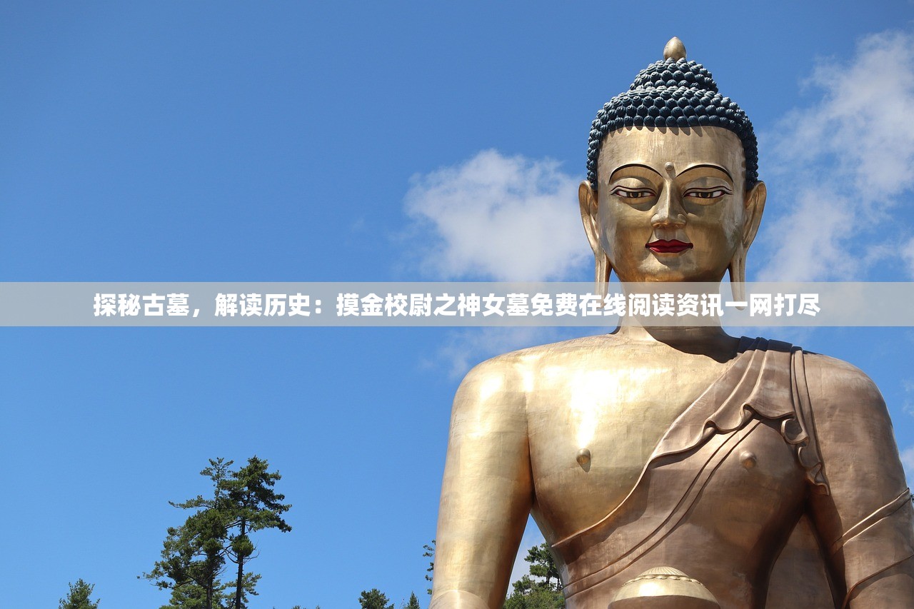 探索科技进步之路：战匠杜沃安卓正式版在何处，各平台如何获取和安装教程解析
