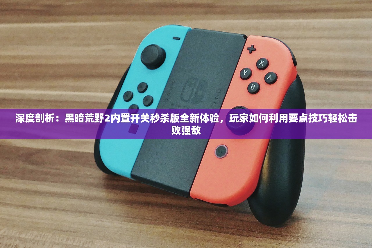 深度剖析：黑暗荒野2内置开关秒杀版全新体验，玩家如何利用要点技巧轻松击败强敌