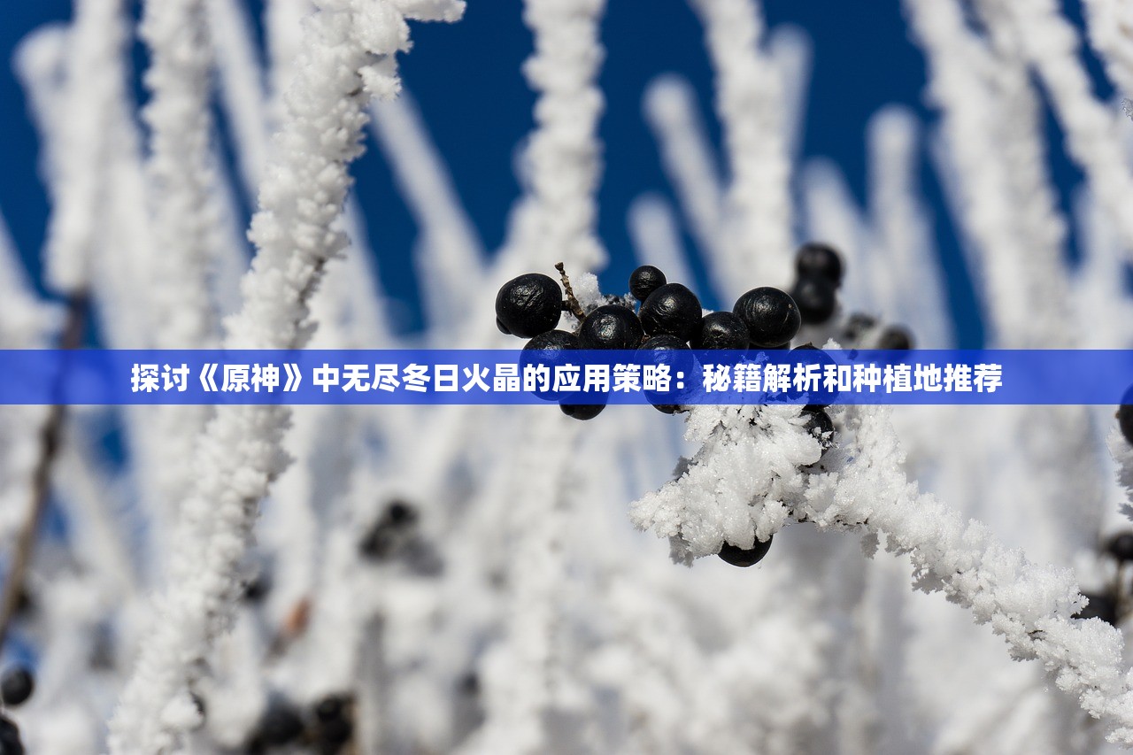 探讨《原神》中无尽冬日火晶的应用策略：秘籍解析和种植地推荐