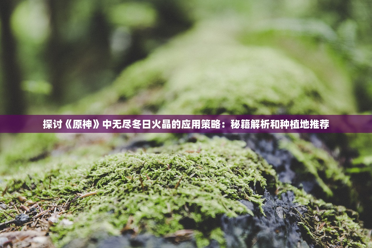 探讨《原神》中无尽冬日火晶的应用策略：秘籍解析和种植地推荐