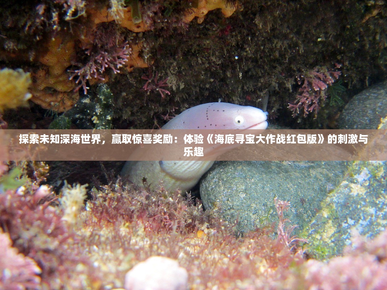 探索未知深海世界，赢取惊喜奖励：体验《海底寻宝大作战红包版》的刺激与乐趣