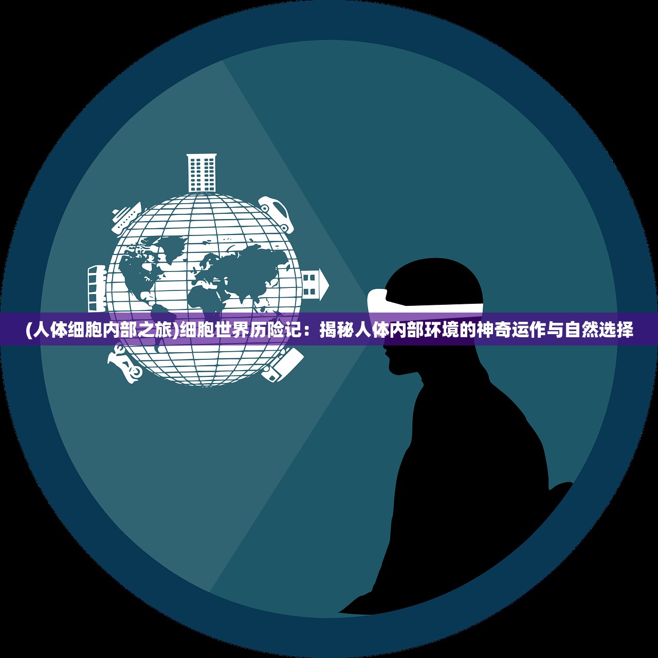 (人体细胞内部之旅)细胞世界历险记：揭秘人体内部环境的神奇运作与自然选择