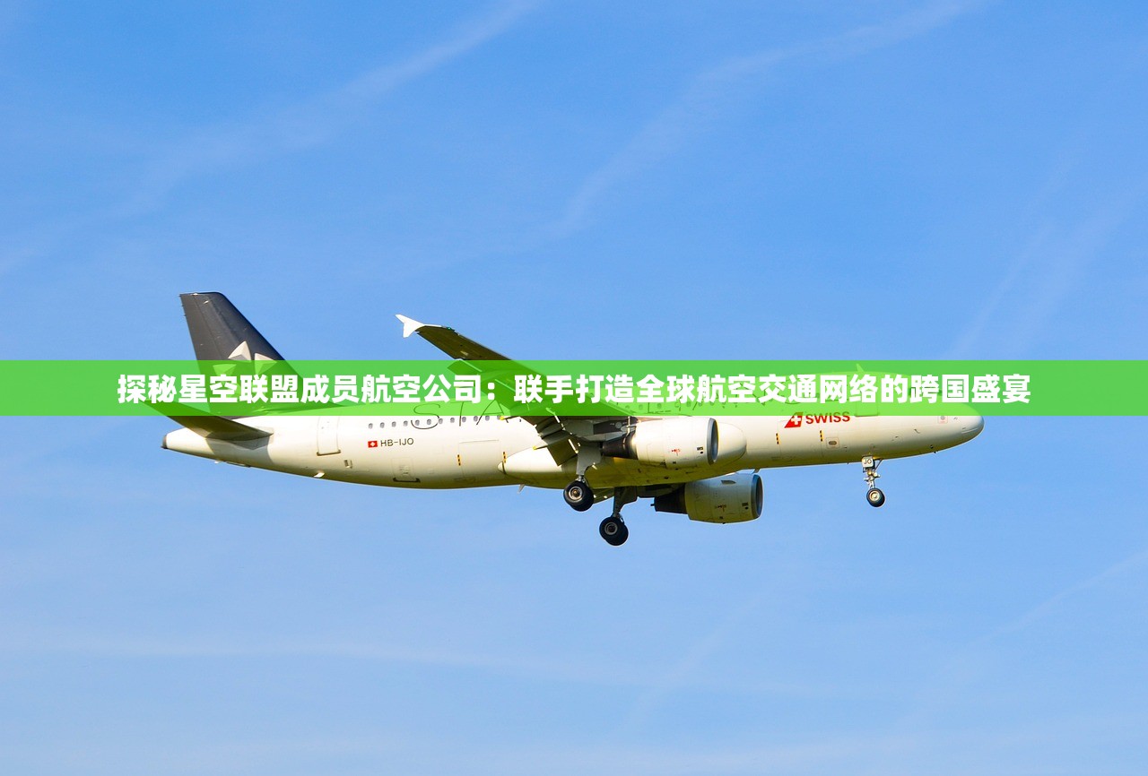探秘星空联盟成员航空公司：联手打造全球航空交通网络的跨国盛宴