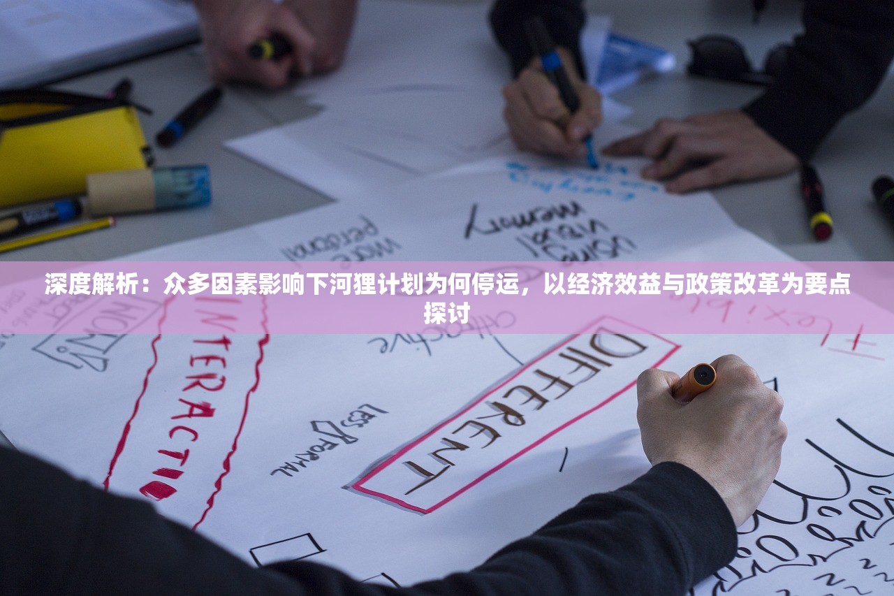 深度解析：众多因素影响下河狸计划为何停运，以经济效益与政策改革为要点探讨