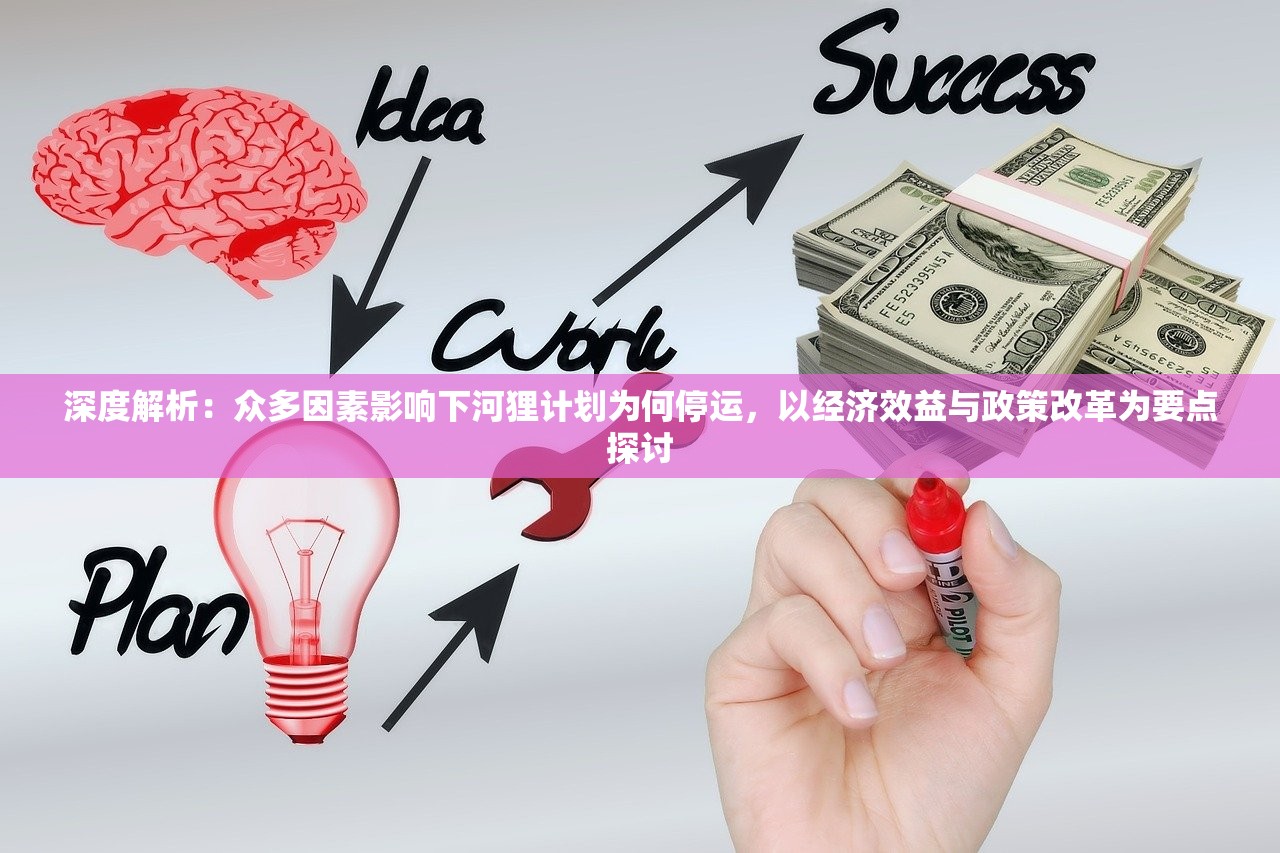 深度解析：众多因素影响下河狸计划为何停运，以经济效益与政策改革为要点探讨