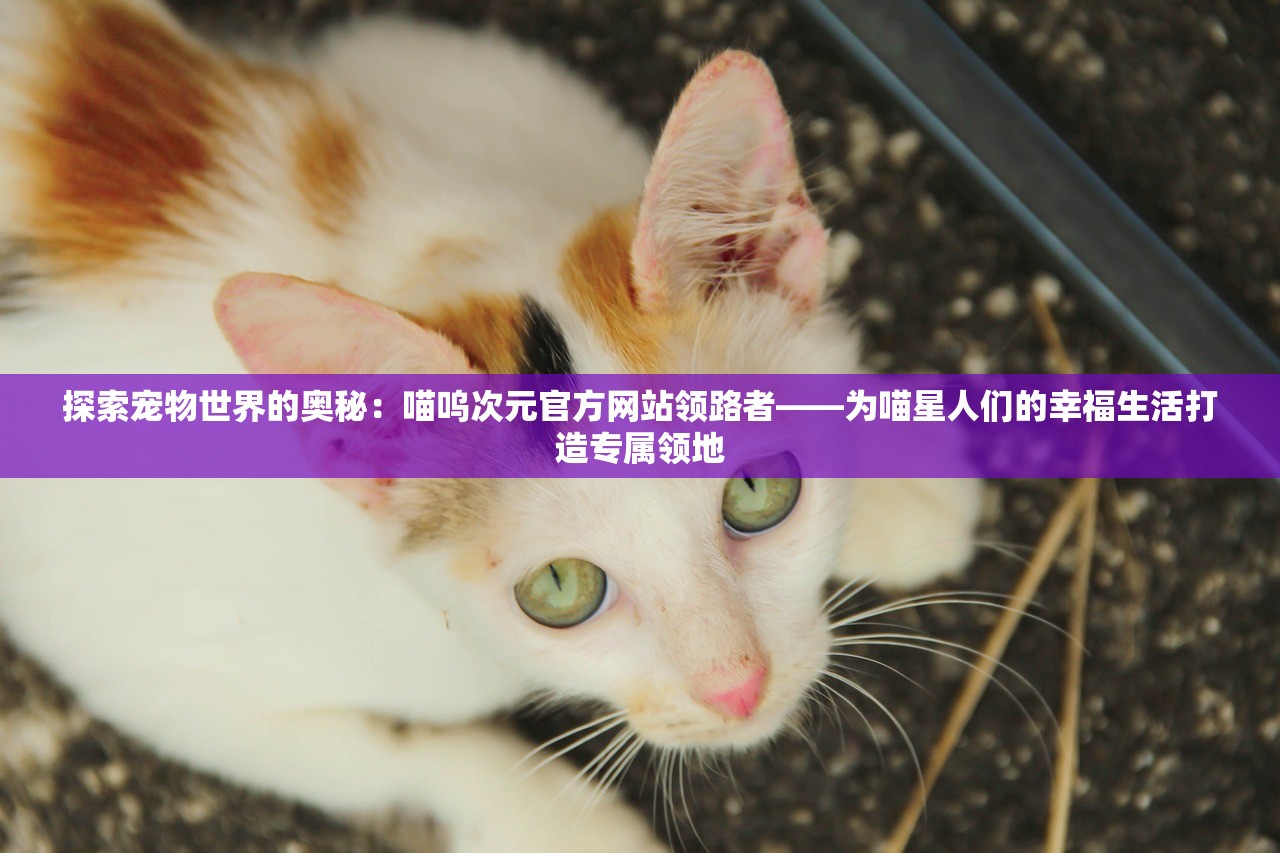 探索未上锁的房间已付费版下载途径：多平台游戏资源同步更新提供来源明确