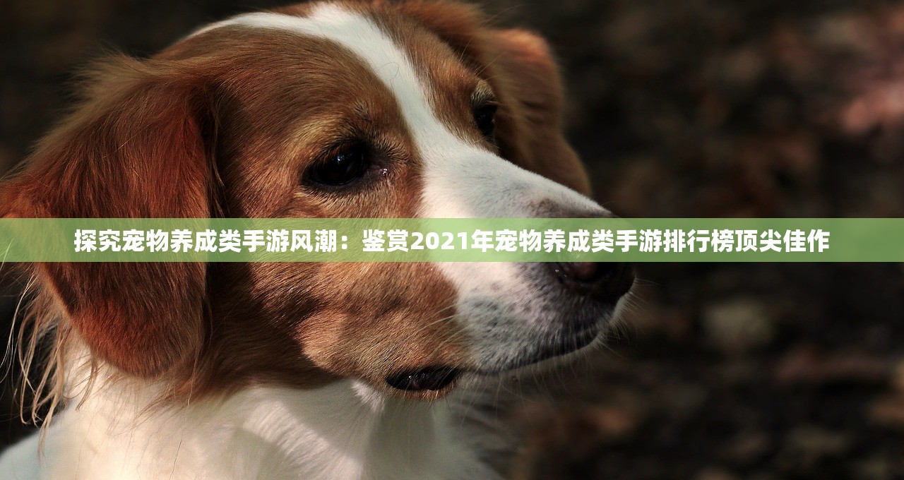 探究宠物养成类手游风潮：鉴赏2021年宠物养成类手游排行榜顶尖佳作