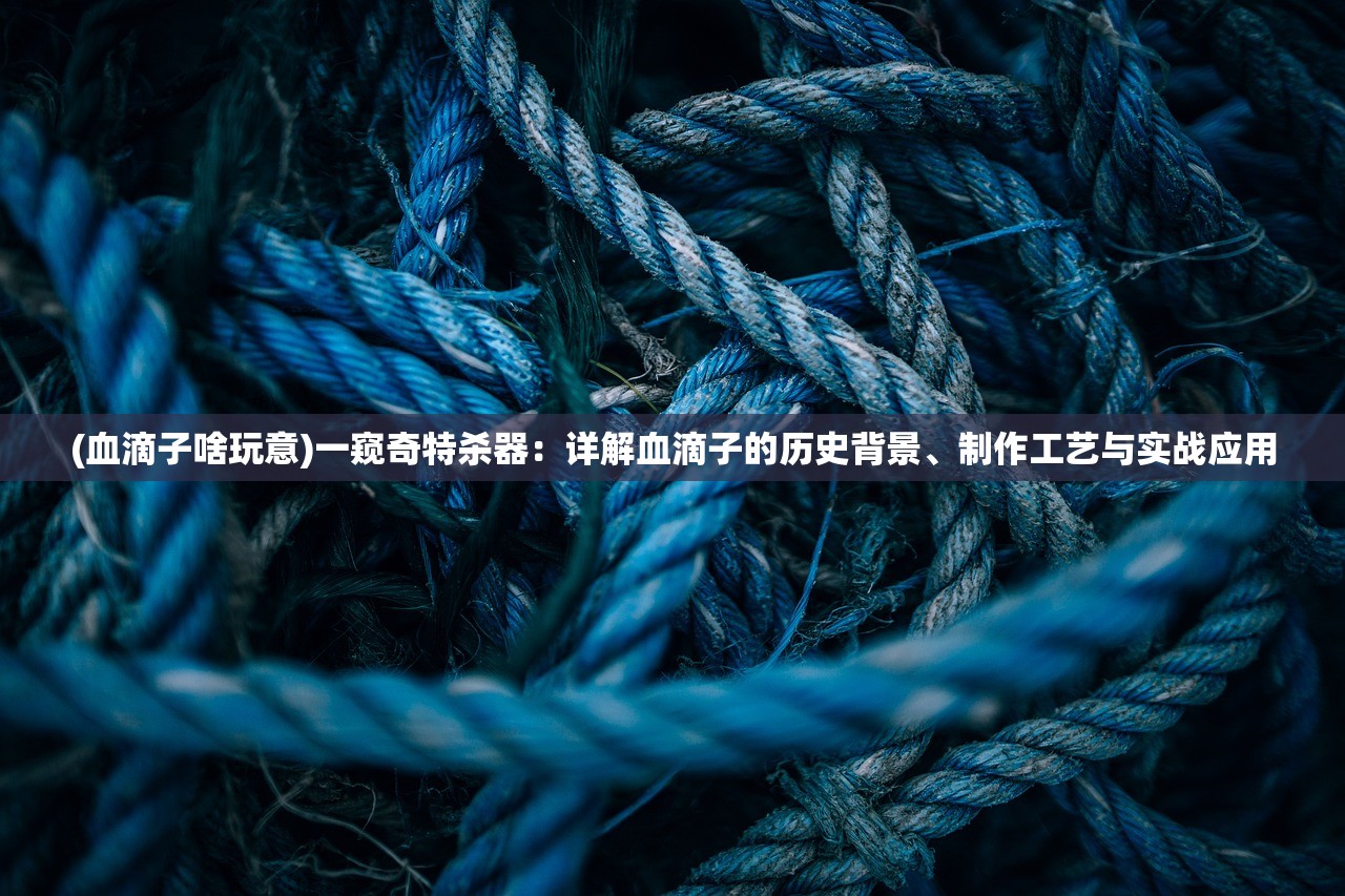 (血滴子啥玩意)一窥奇特杀器：详解血滴子的历史背景、制作工艺与实战应用