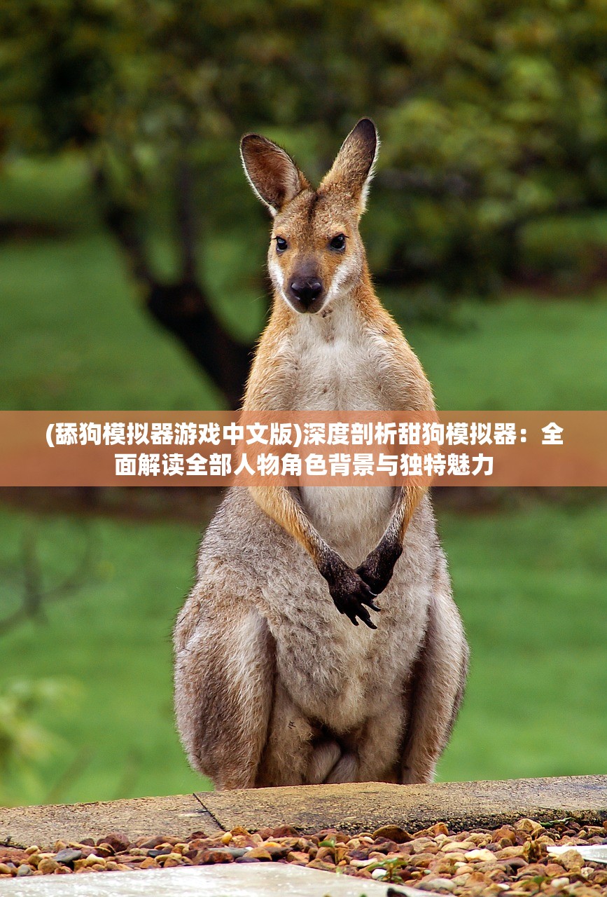 (舔狗模拟器游戏中文版)深度剖析甜狗模拟器：全面解读全部人物角色背景与独特魅力