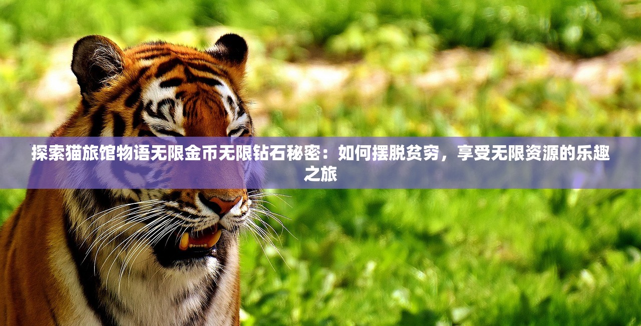 (亿万城市单机内购破解版)亿万城市无限钻石金币版，游戏新纪元的前瞻与探索