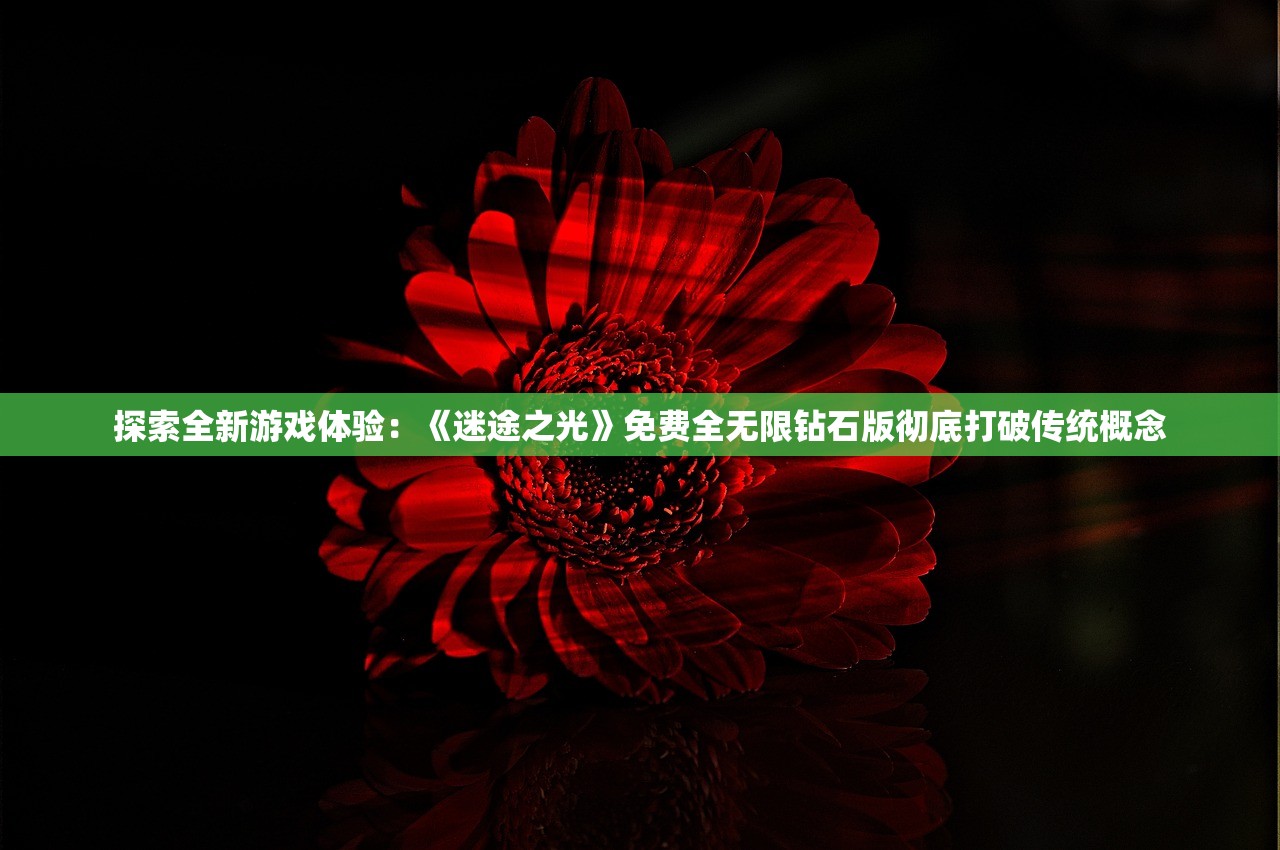探索全新游戏体验：《迷途之光》免费全无限钻石版彻底打破传统概念