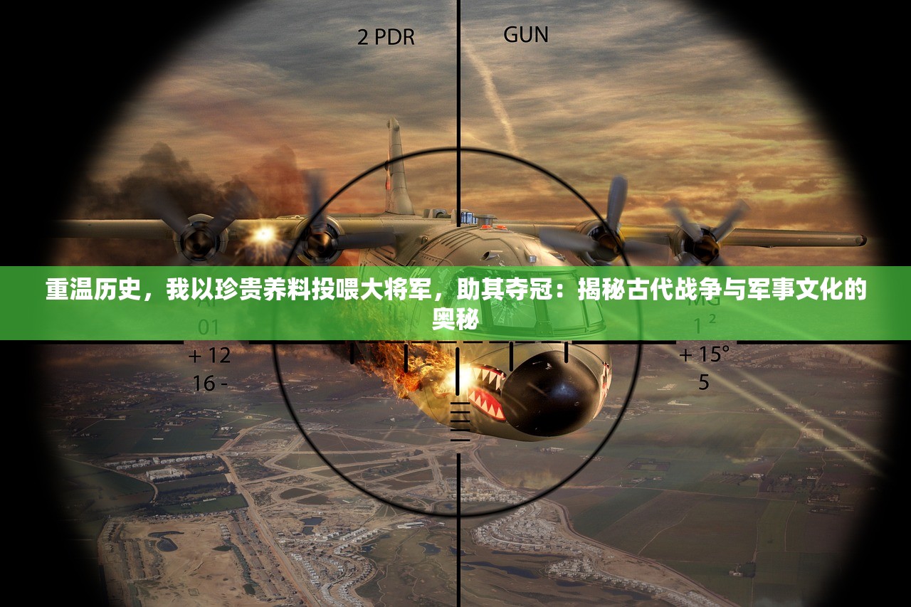 重温历史，我以珍贵养料投喂大将军，助其夺冠：揭秘古代战争与军事文化的奥秘