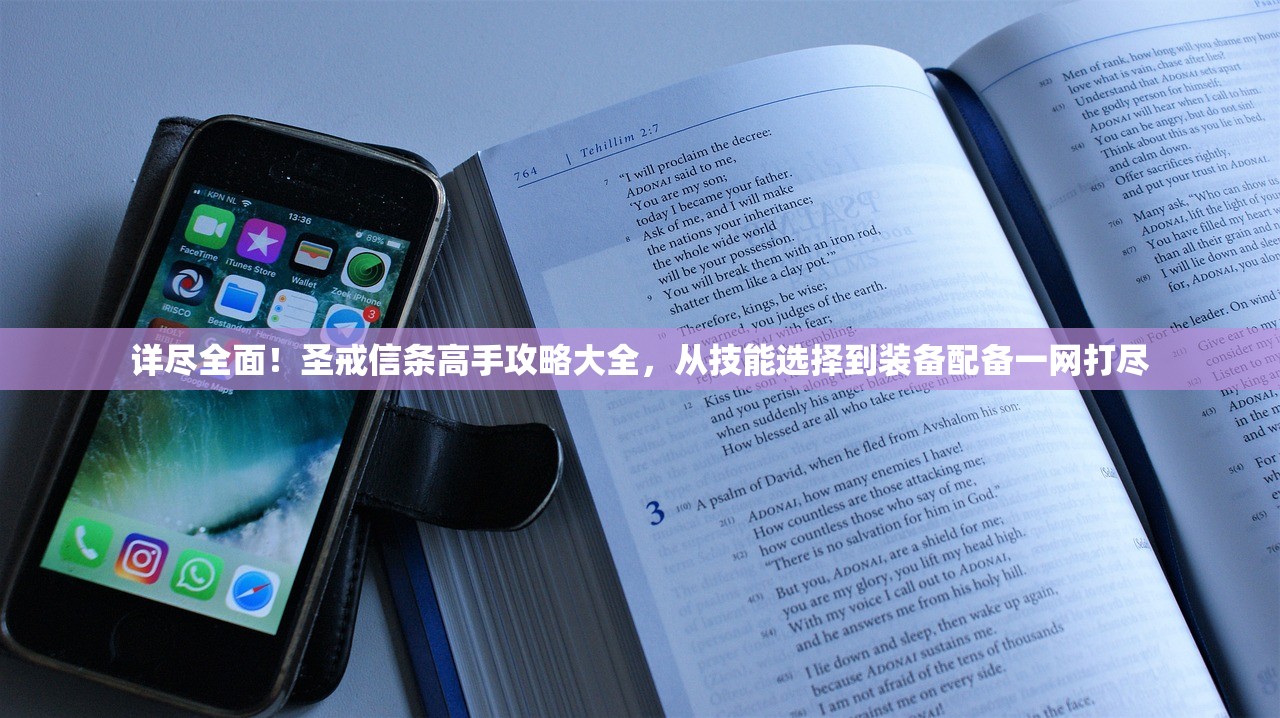 详尽全面！圣戒信条高手攻略大全，从技能选择到装备配备一网打尽