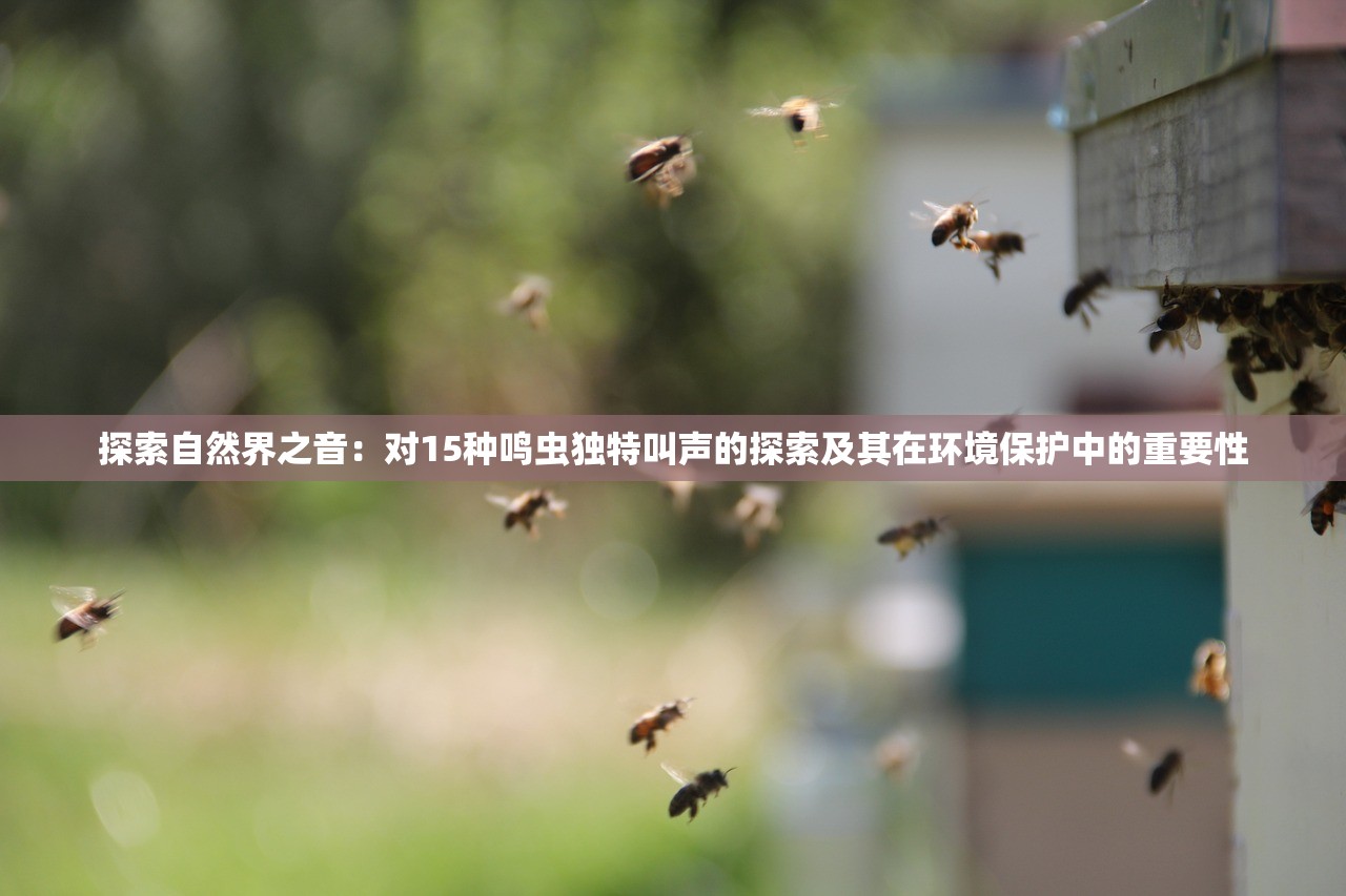 探索自然界之音：对15种鸣虫独特叫声的探索及其在环境保护中的重要性
