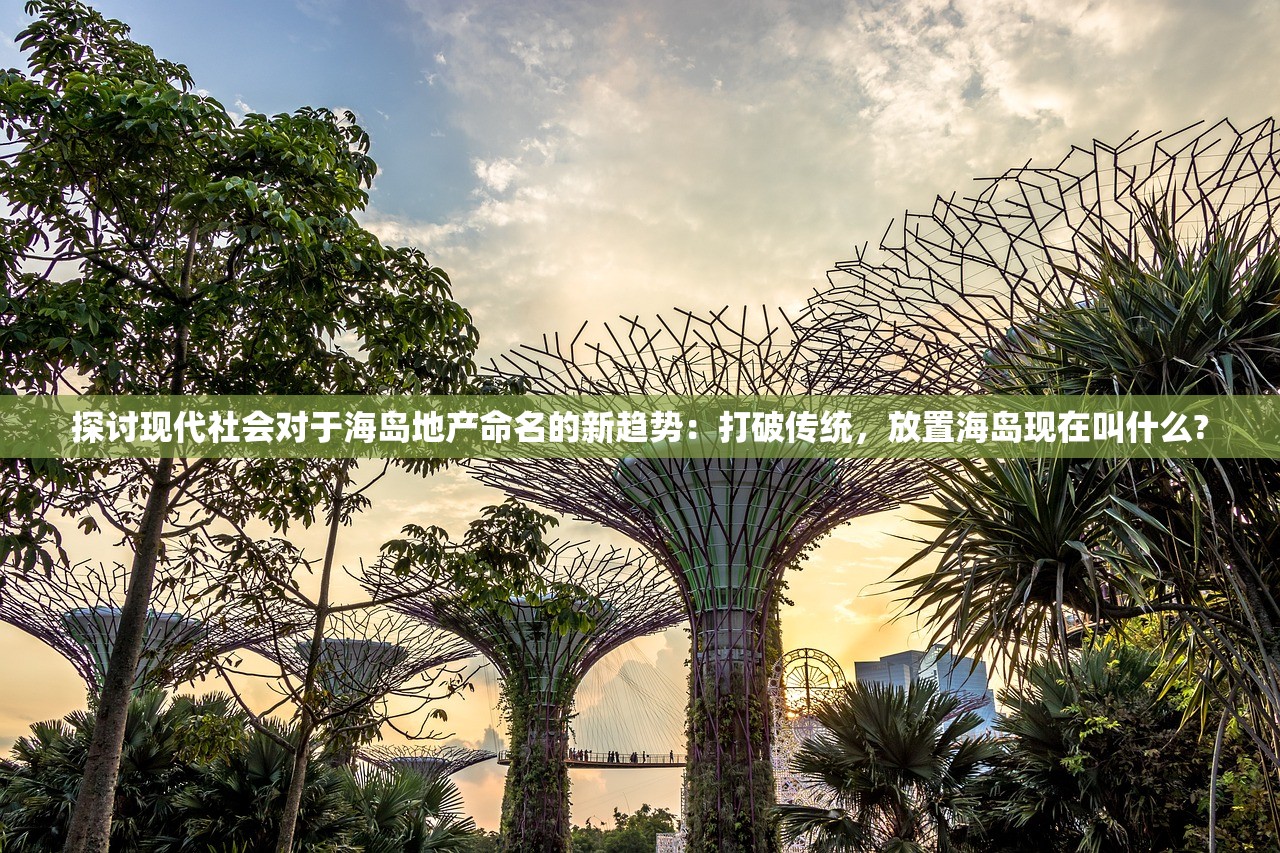 探讨现代社会对于海岛地产命名的新趋势：打破传统，放置海岛现在叫什么?
