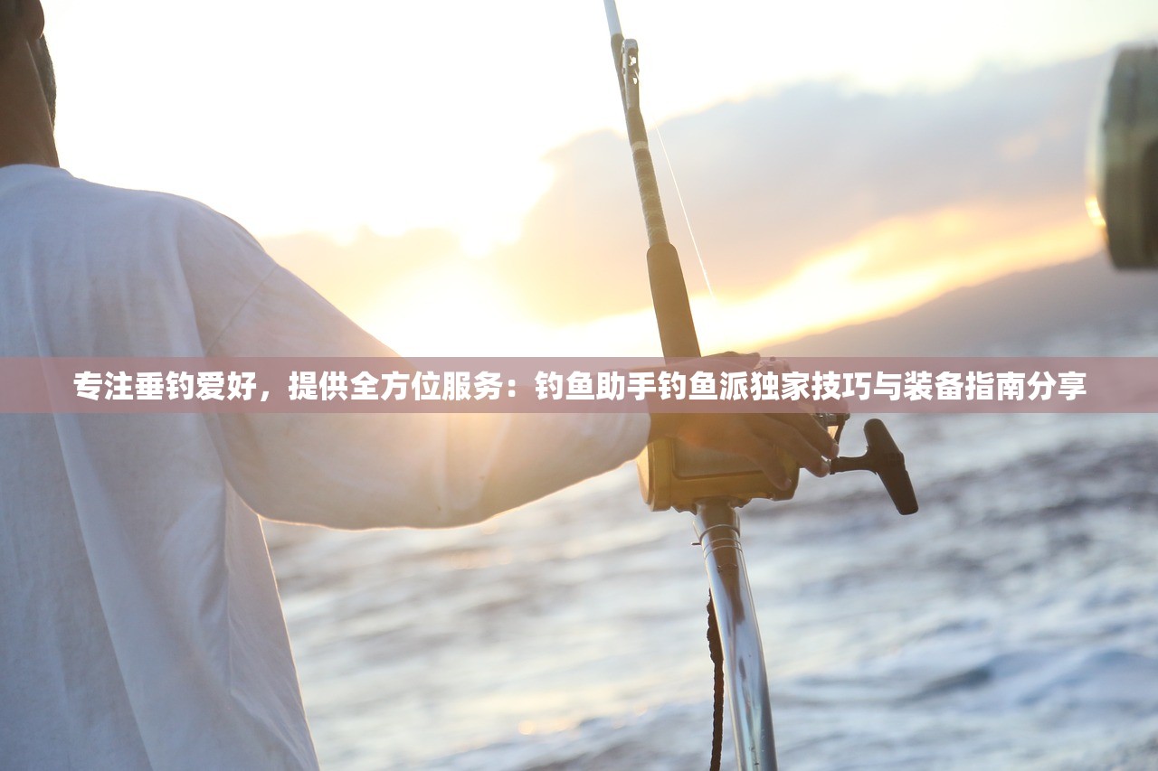 专注垂钓爱好，提供全方位服务：钓鱼助手钓鱼派独家技巧与装备指南分享