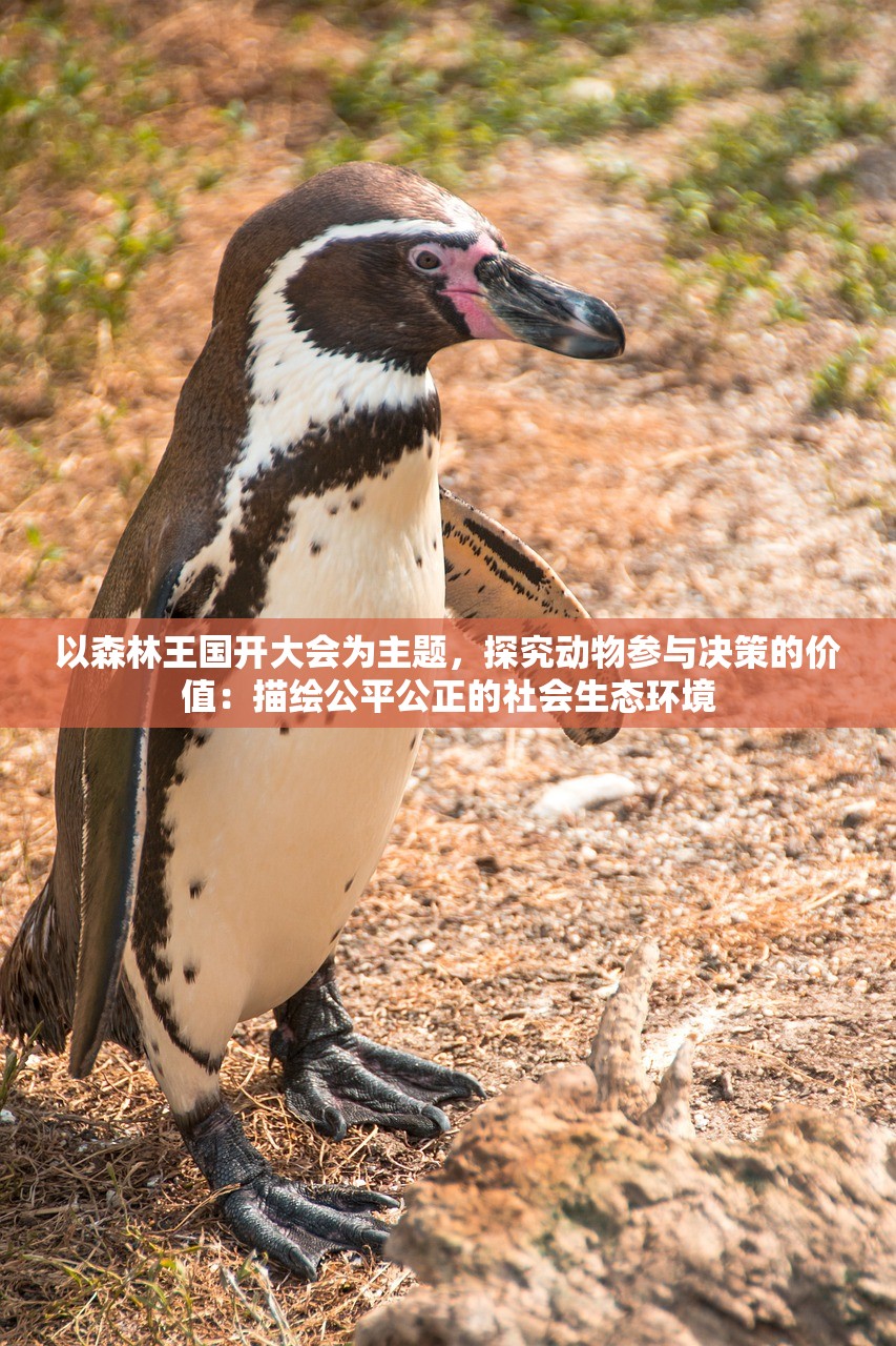 以森林王国开大会为主题，探究动物参与决策的价值：描绘公平公正的社会生态环境