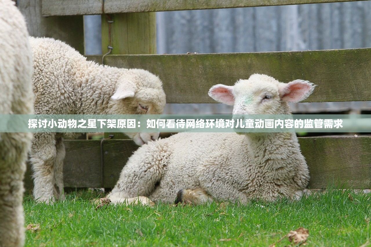 探讨小动物之星下架原因：如何看待网络环境对儿童动画内容的监管需求