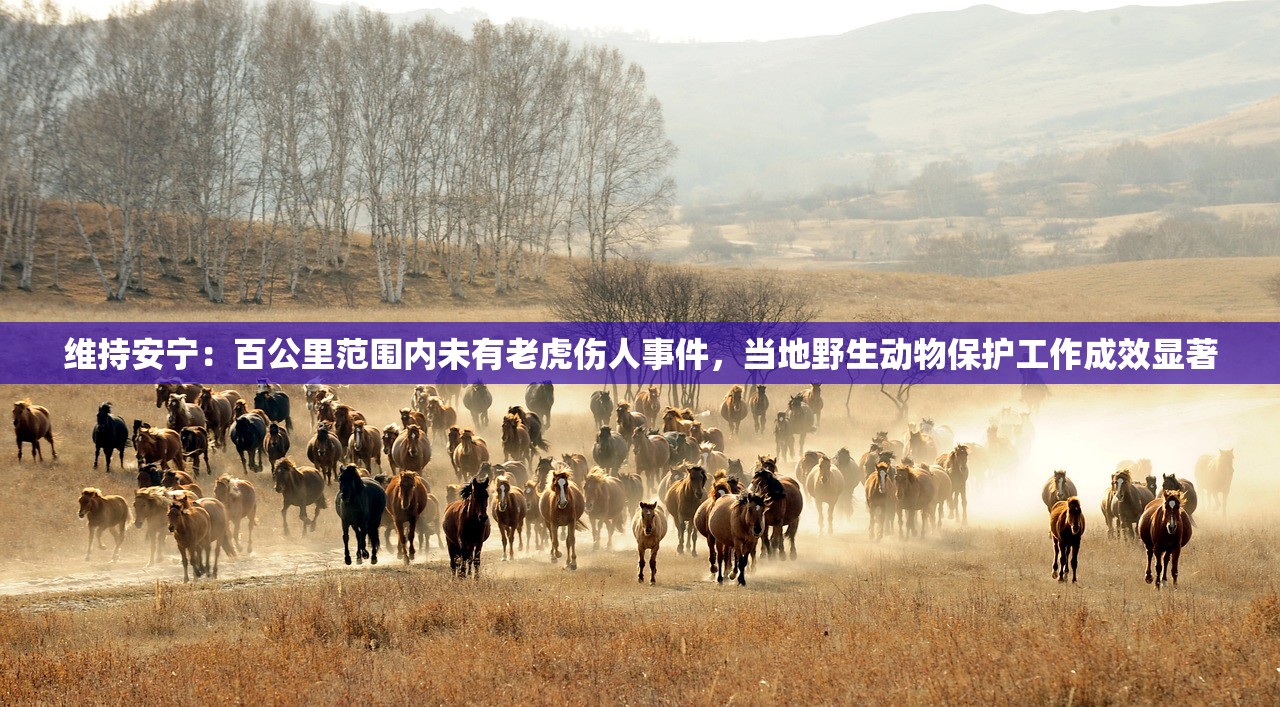 维持安宁：百公里范围内未有老虎伤人事件，当地野生动物保护工作成效显著