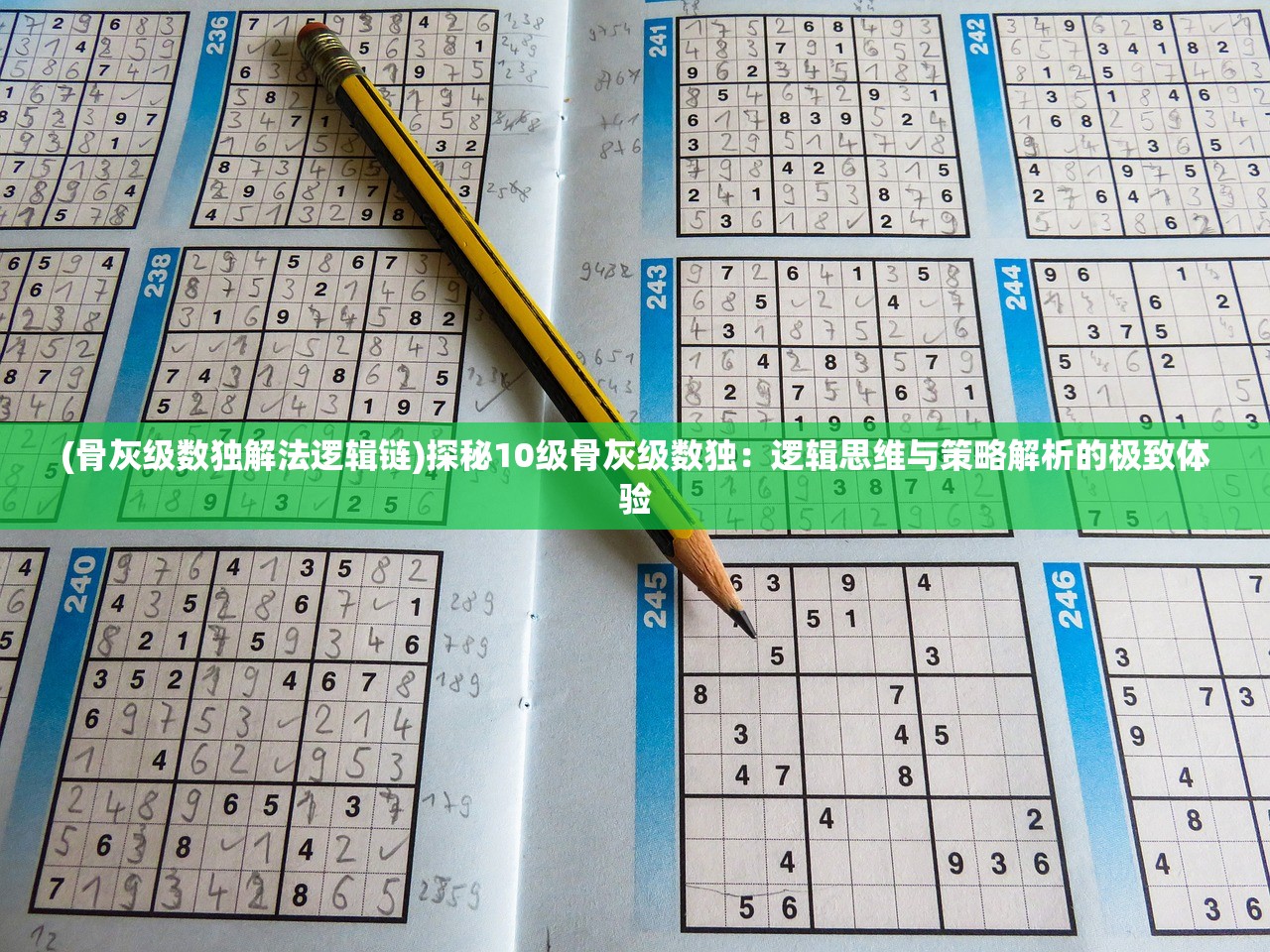 (维塔斯人品)维斯塔的餐桌人物深度解析与介绍