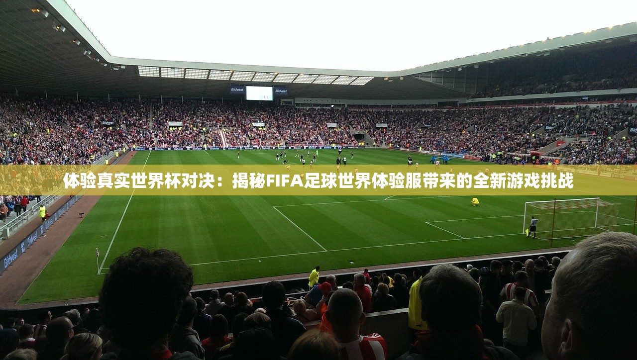 体验真实世界杯对决：揭秘FIFA足球世界体验服带来的全新游戏挑战